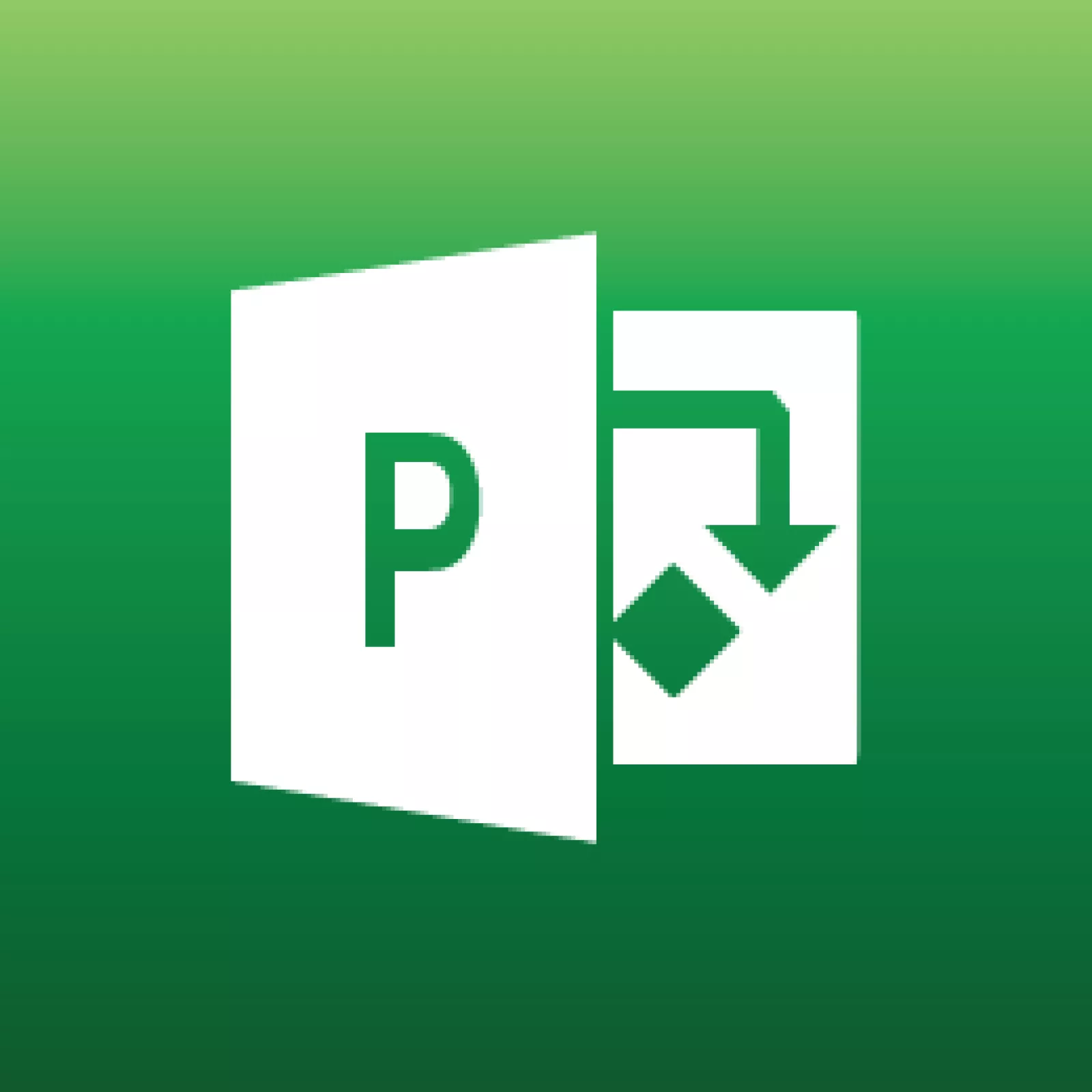 Project icon